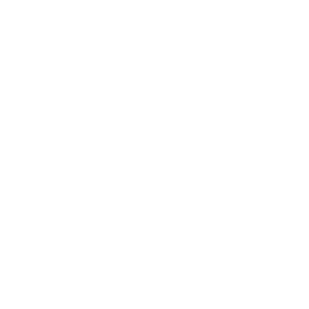 Agenda Overview