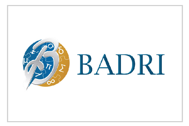 BADRI Management Consultancy